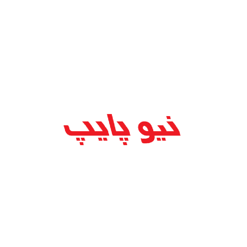 لوگوی برندهای ریتاپی-09
