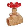 globevalve